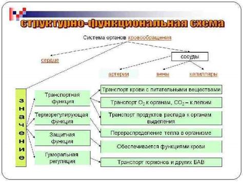 Изменения физико-химических свойств