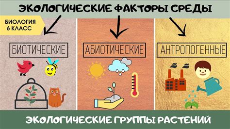 Изменчивость окружающей среды ведет к открыванию систем организмов