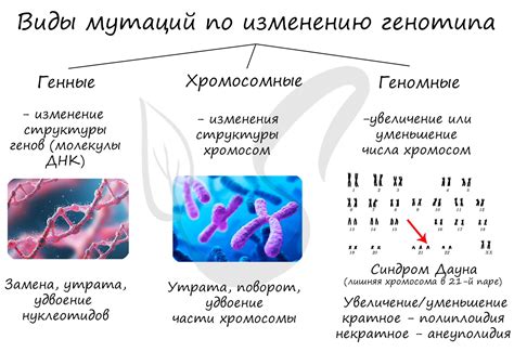 Изоляция организма