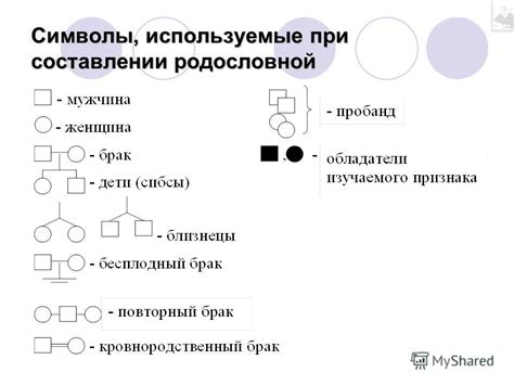 Изучение генеалогии: ключевые моменты