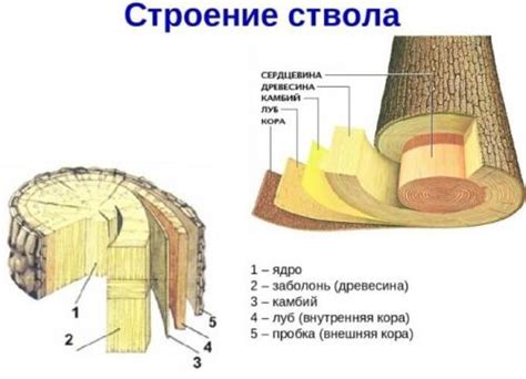 Изучение основных функций