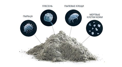 Из каких источников происходит образование серой пыли в доме