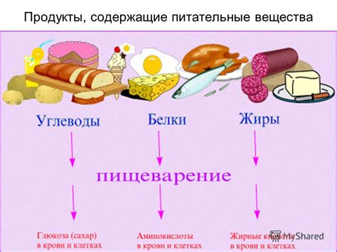 Ингредиенты и питательные вещества