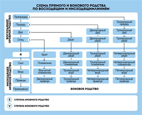 Инструкция по поиску и советы по установлению родственных связей