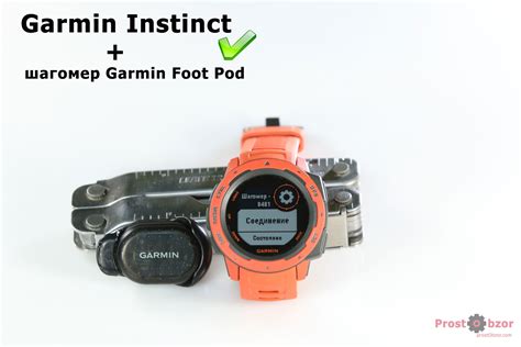 Интеграция шагомера с приложением Garmin