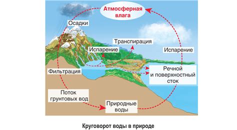 Интеракции и взаимодействие в природе