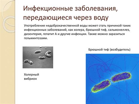 Инфекционные заболевания воды