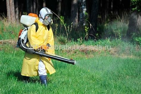 Использование натуральных методов борьбы с вредителями и болезнями