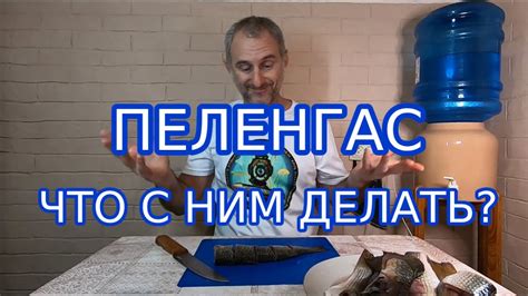 Использование пеленгаса