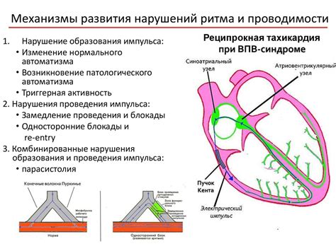 Использование ритма и мелодики