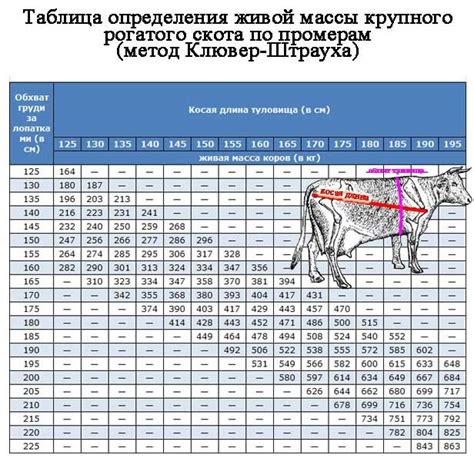 Использование формулы для точной оценки веса животного