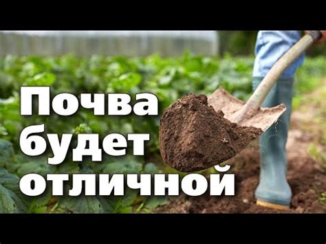 Использовать разрыхлители