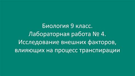 Исследование внешних факторов, повлиявших на формирование современной культуры