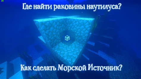 Исследование океанов: где найти ракушку наутилуса