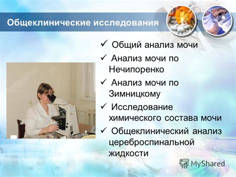 Исследования по лечебным свойствам мочи