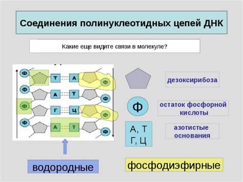 Исследования связи между фосфорной кислотой и генетическими заболеваниями