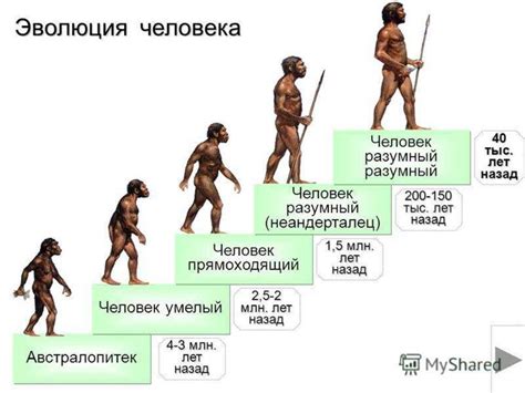 История и эволюция названия