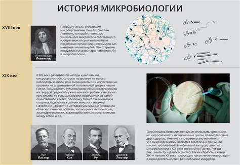 История микробиологии