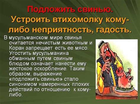 История происхождения фразы "Браво киса браво"