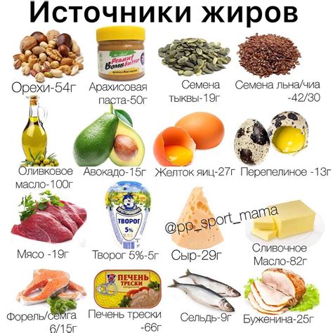 Источники жира для липофилинга