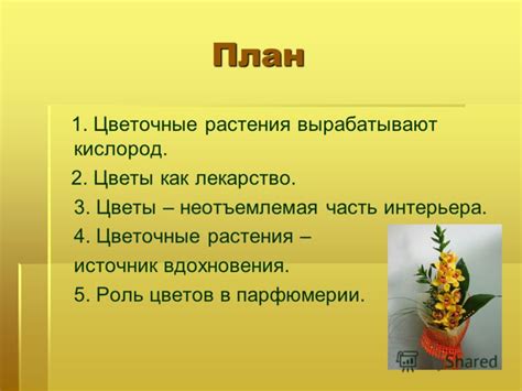 Источник №2: Цветы и растения