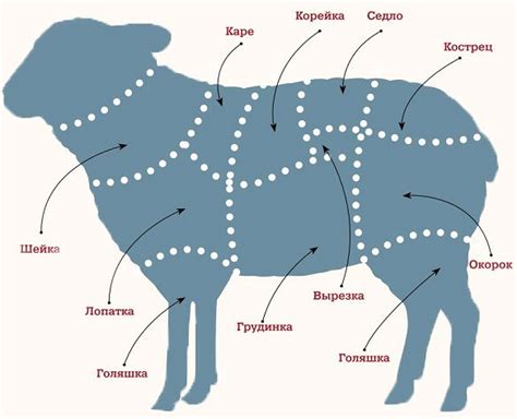 Какая часть туши использовать