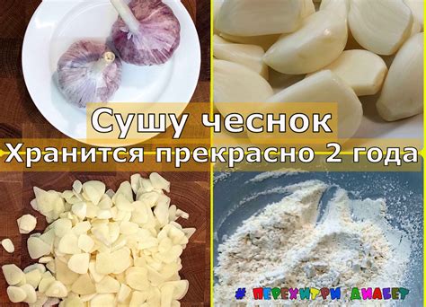 Какие методы сушки чеснока существуют помимо подвязки?