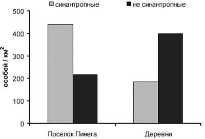 Каковы особенности синантропных видов?