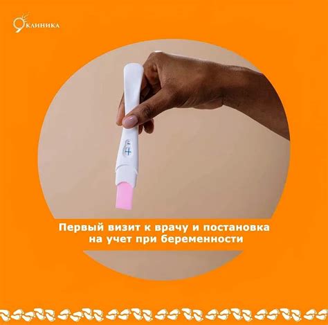 Какой возраст наиболее оптимальный для начала выращивания селадоны?