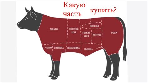 Какую мясную часть выбрать