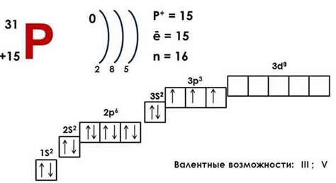 Как влияют уровни азота и фосфора на формирование шариков