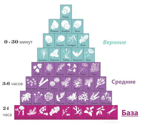 Как выбрать базовые ноты