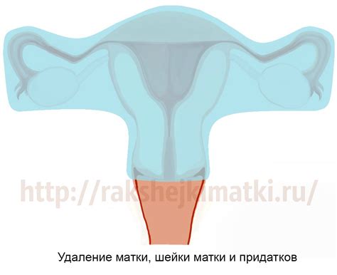 Как выделения после удаления придатков влияют на организм