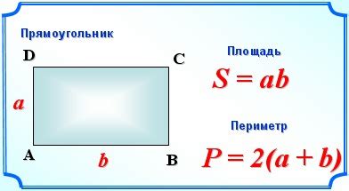 Как вычислить периметр прямоугольника?