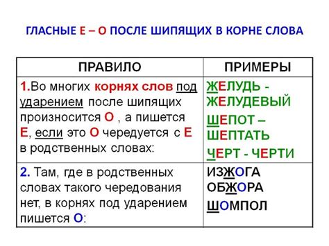 Как запомнить правила написания слов на -ество