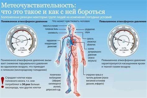 Как мед влияет на артериальное давление