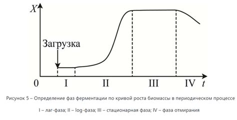 Как обеспечить процесс ферментации