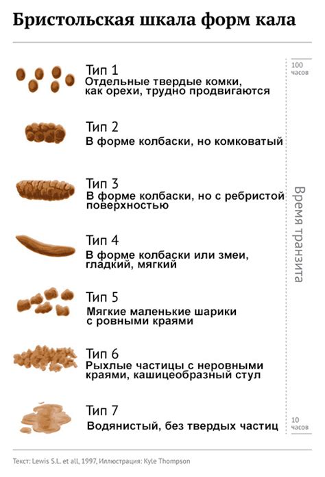 Как определить нормальный стул