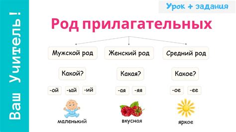 Как определить прилагательное и существительное