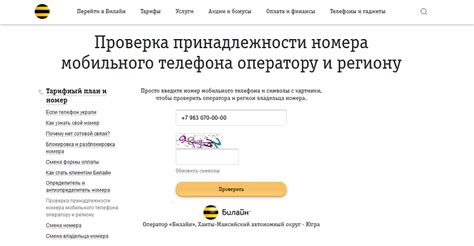 Как определить причину неработающего номера Билайн