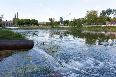 Как переизбыток воды может повлиять на окраску