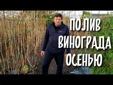 Как подготовить кусты к обрезке