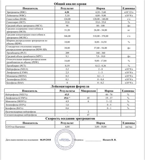 Как правильно интерпретировать результаты общего анализа крови