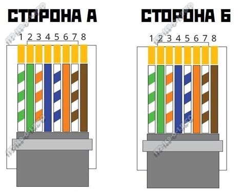 Как правильно назвать вход патч кабеля?