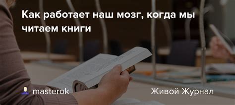 Как работает наш мозг