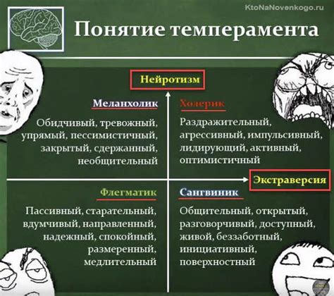 Как распознать типы сорной растительности