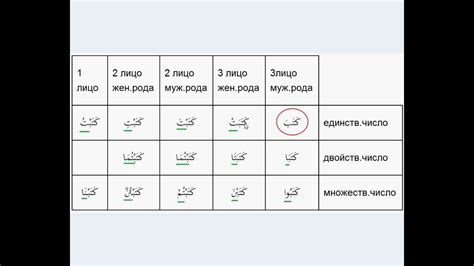 Как спрягать глаголы сеять в прошедшем времени