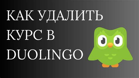 Как удалить курс из Duolingo