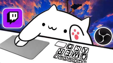 Как установить bongo cat в OBS