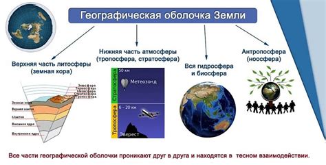 Камбийная оболочка и ее роль в сердцевине